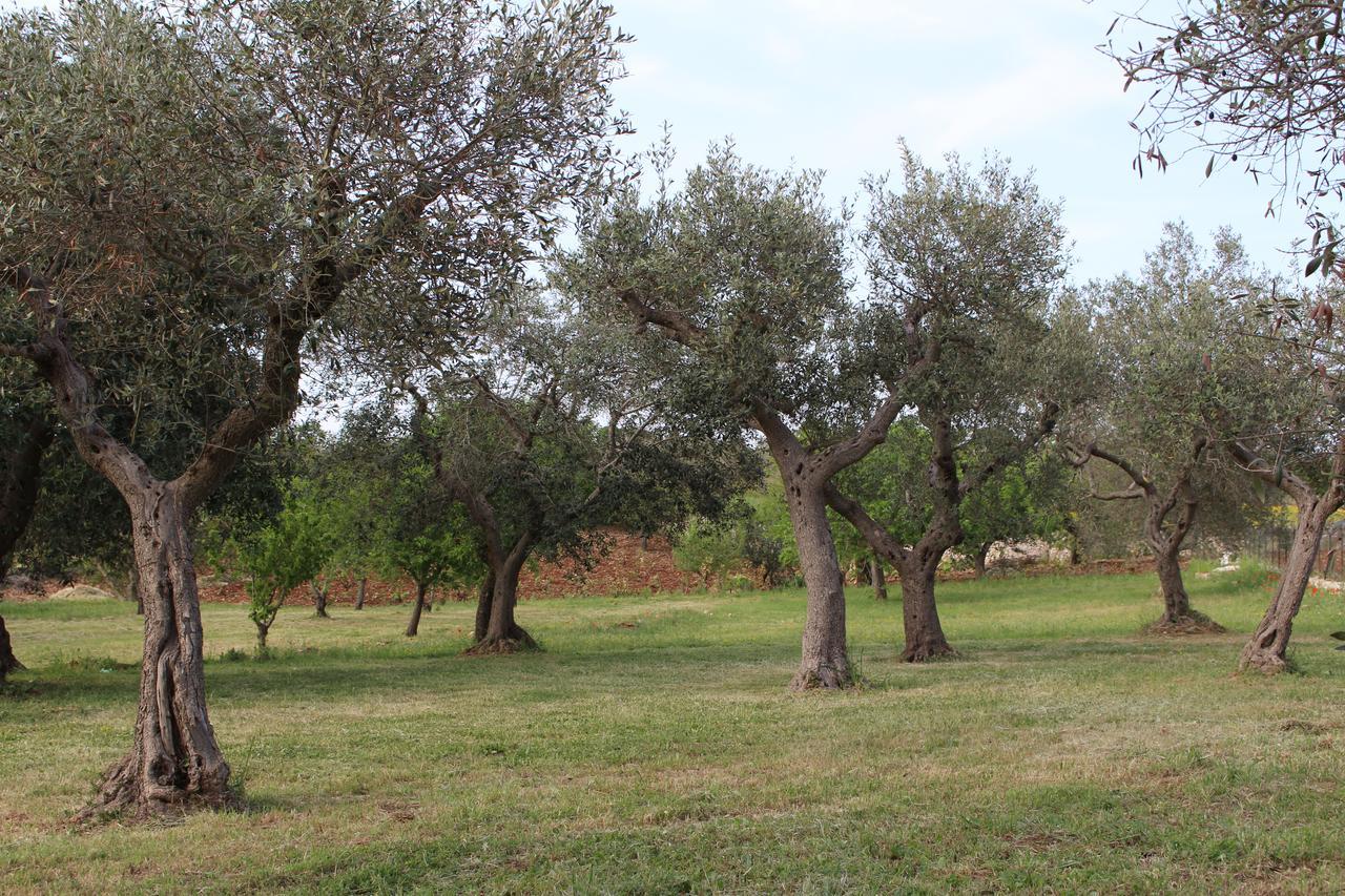 Antiche Dimore Terrarossa Alberobello Kültér fotó