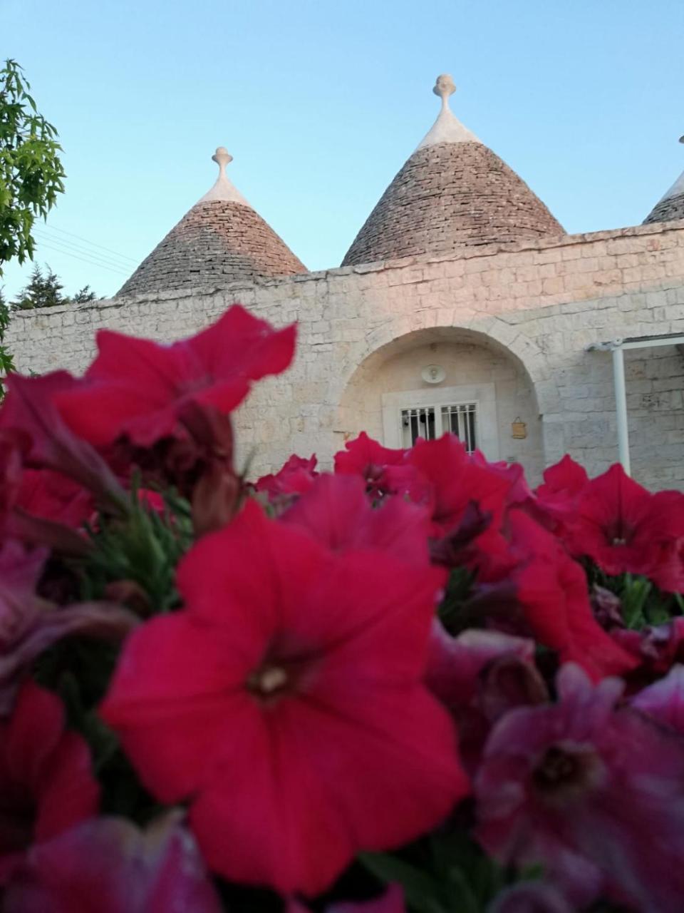 Antiche Dimore Terrarossa Alberobello Kültér fotó